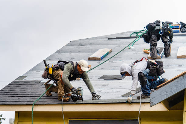 Professional Roofing technician working in Usaf Academy, CO